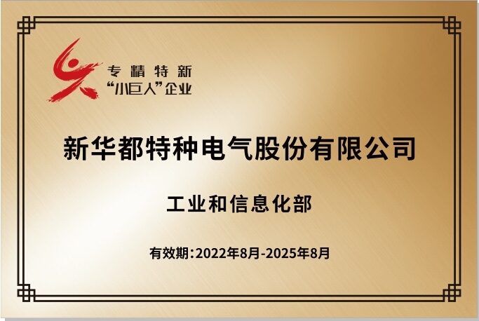 國(guó)家小巨人證書-新華都